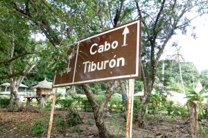 Entrance to Cape Tiburon