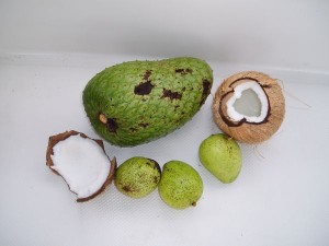 Coconut, Soursop, and Mangos