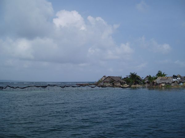 Pinos Island