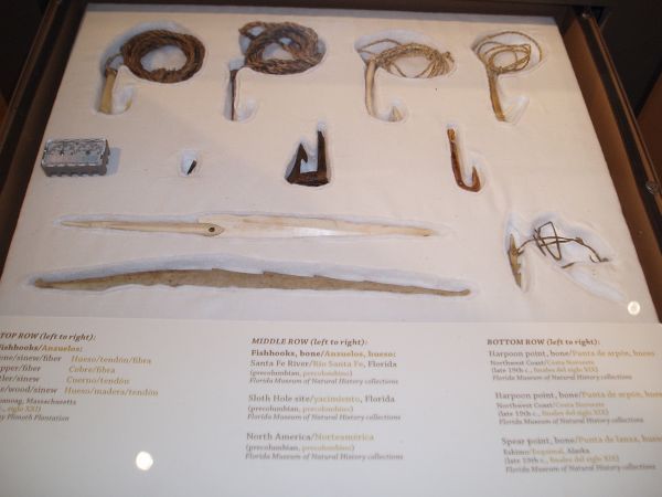 Old Fish Hooks Displayed at the "Dugout Canoes Exhibit"